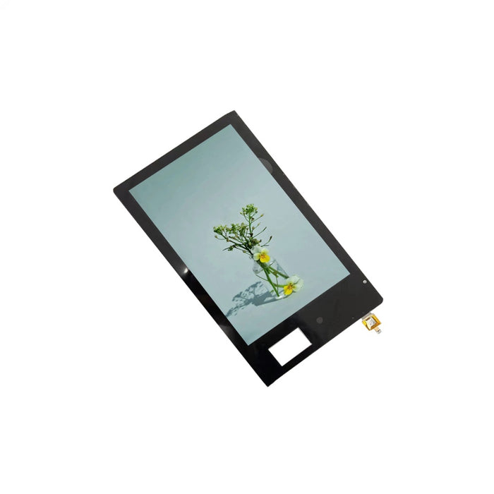 10.1 Inch Tft Lcd With Capacitive Touch Panel 800*1280 Mipi Interface